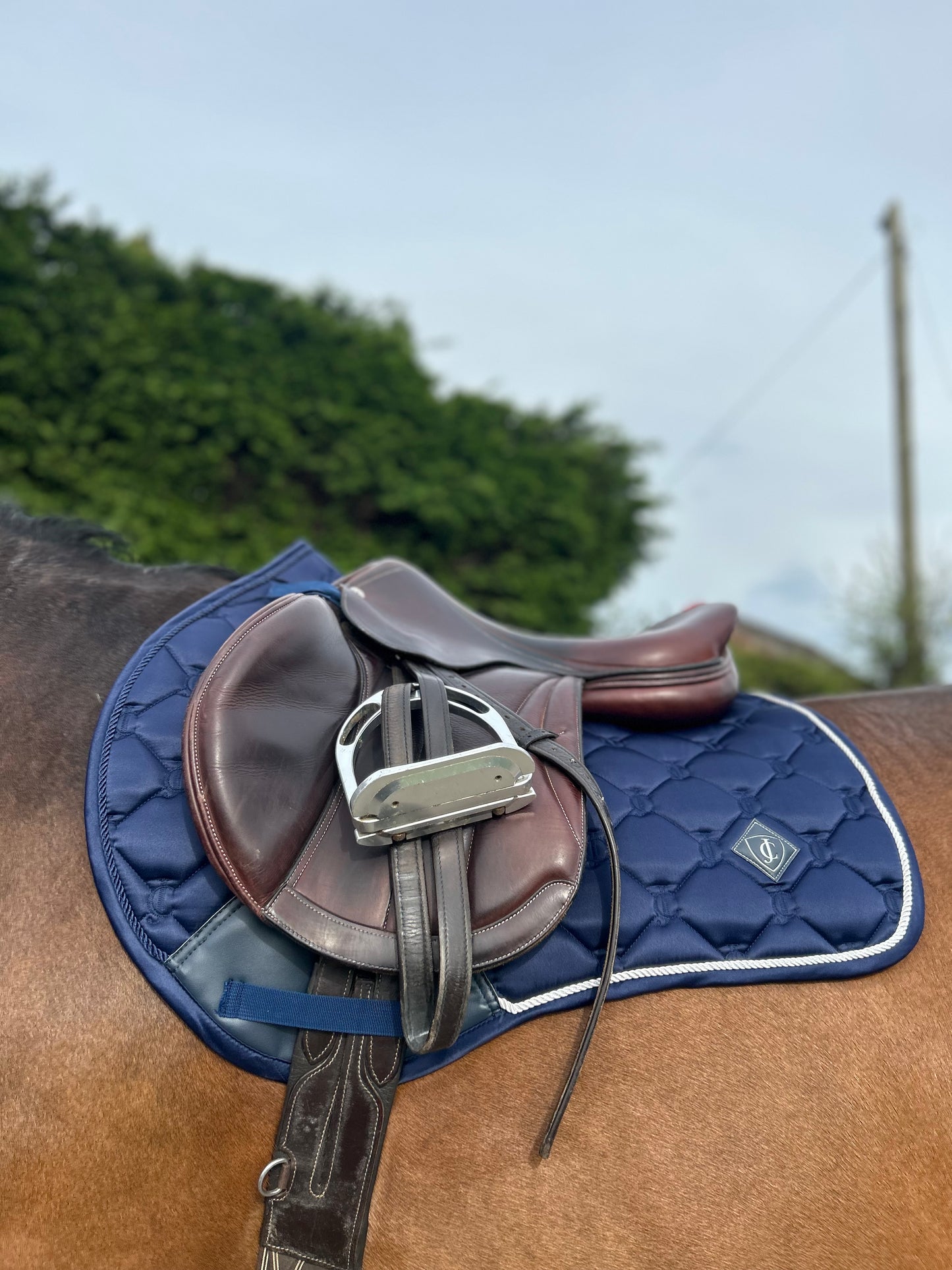 Sapphire GP Saddle Pad