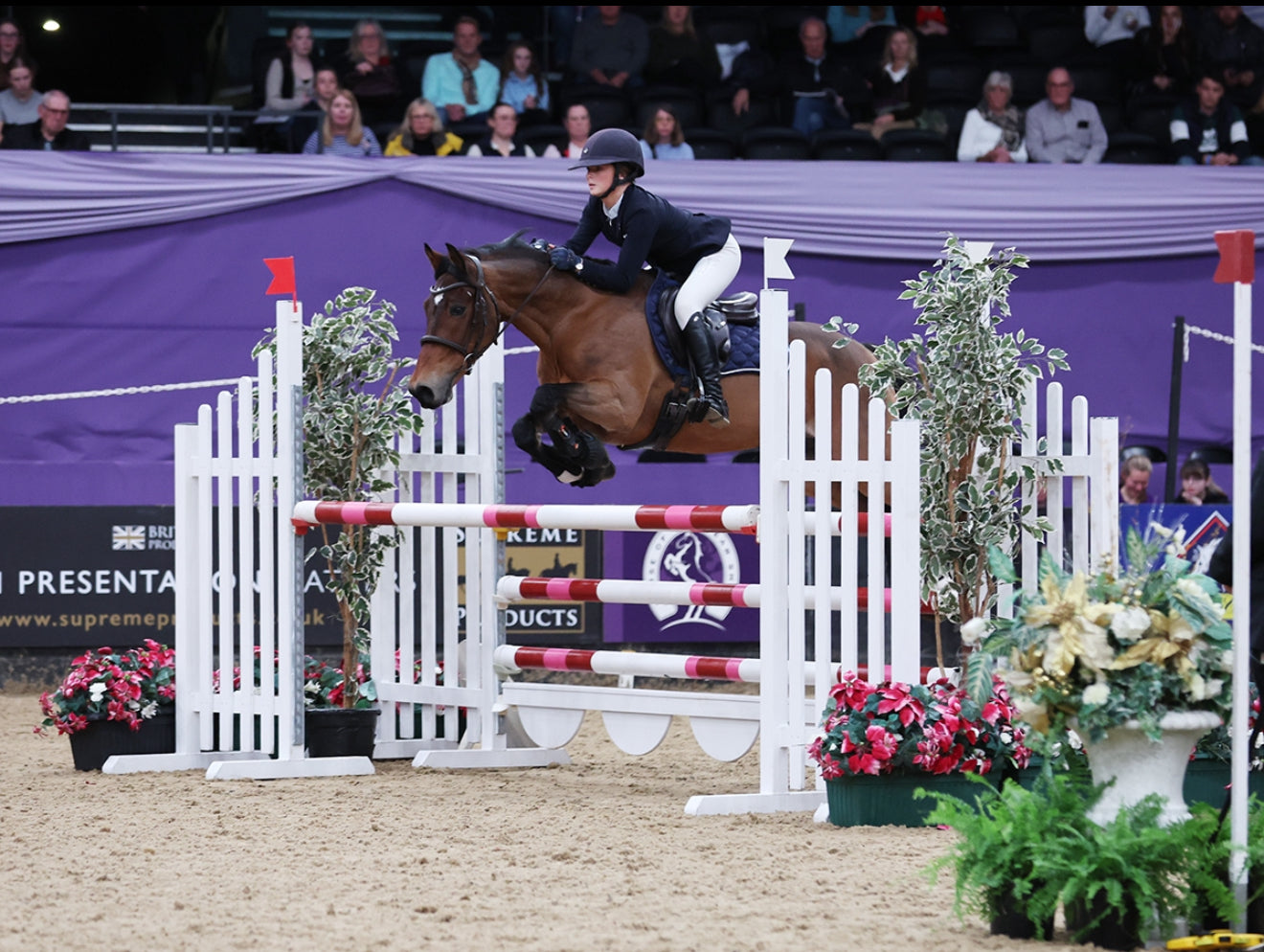 Aimee Navy Show Shirt