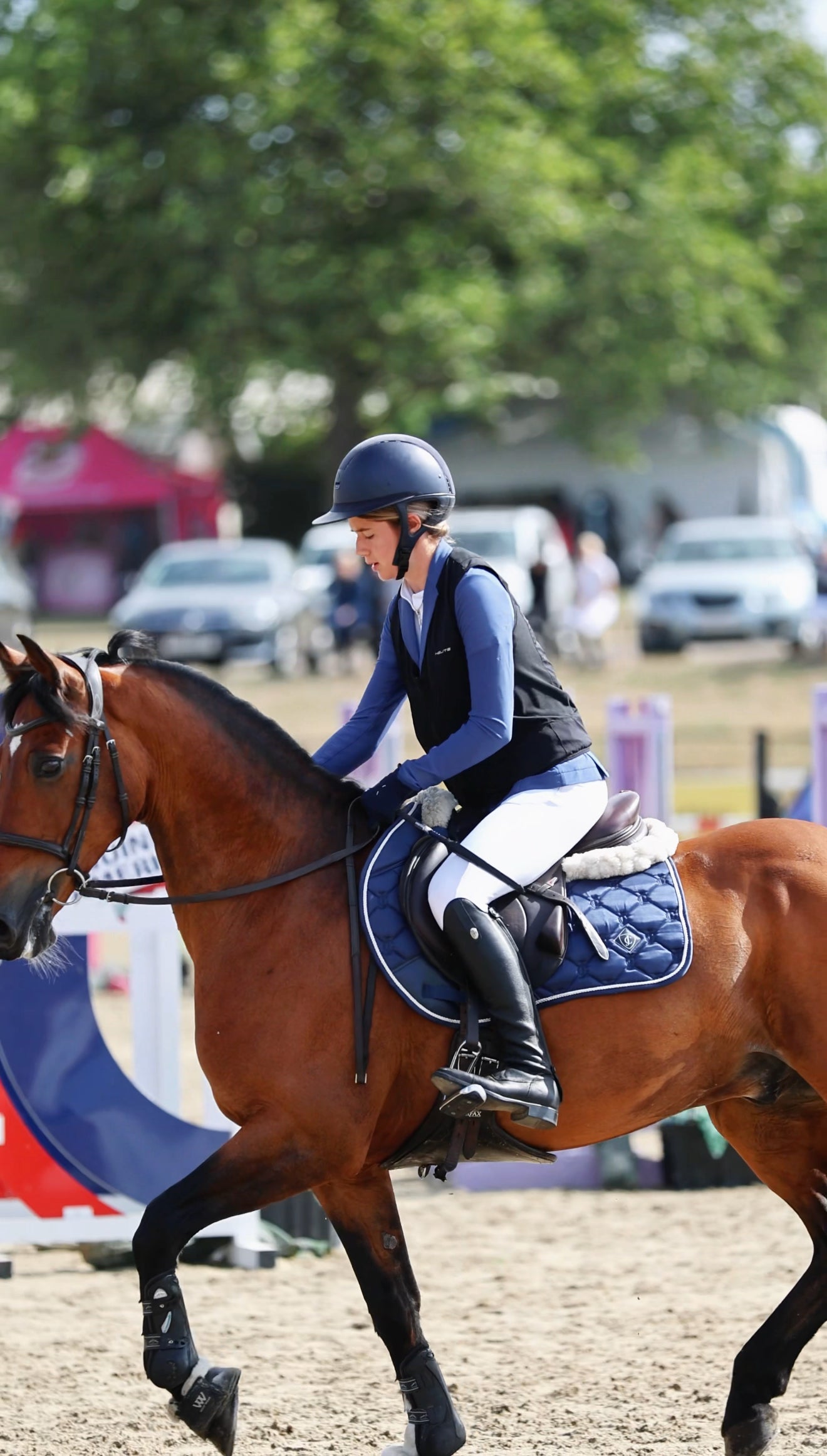Sapphire Saddle Pad
