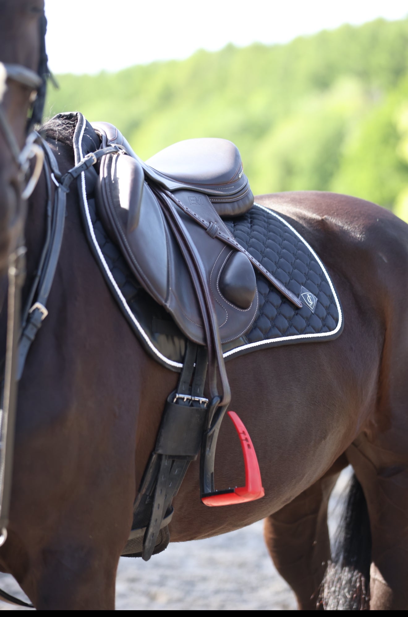 Black Saddle Pad