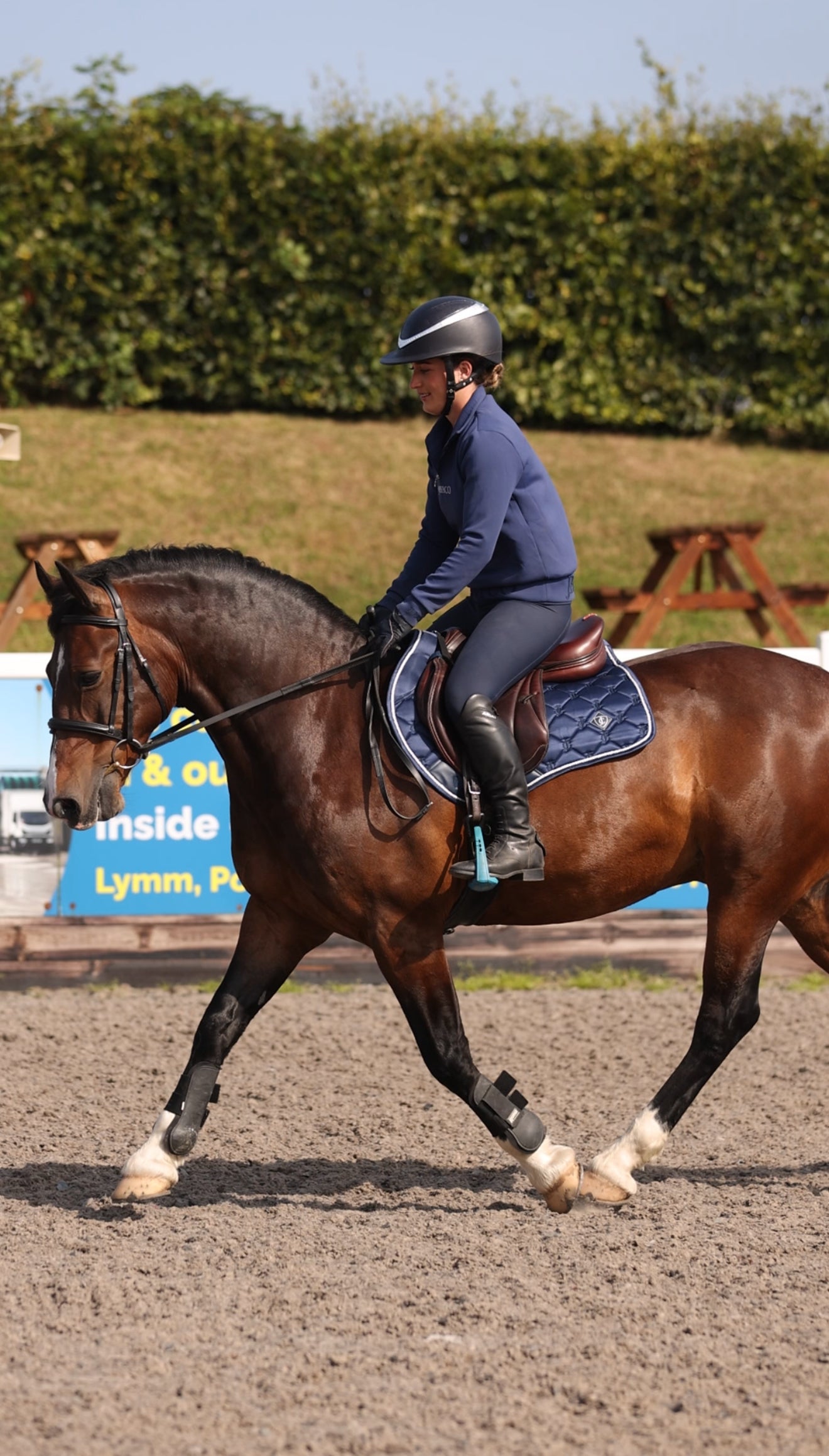 Sapphire Saddle Pad