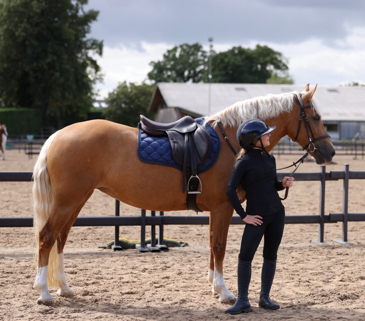 Navy Saddle Pad