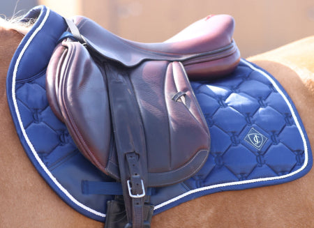 Saddle on a horse with a blue saddle pad