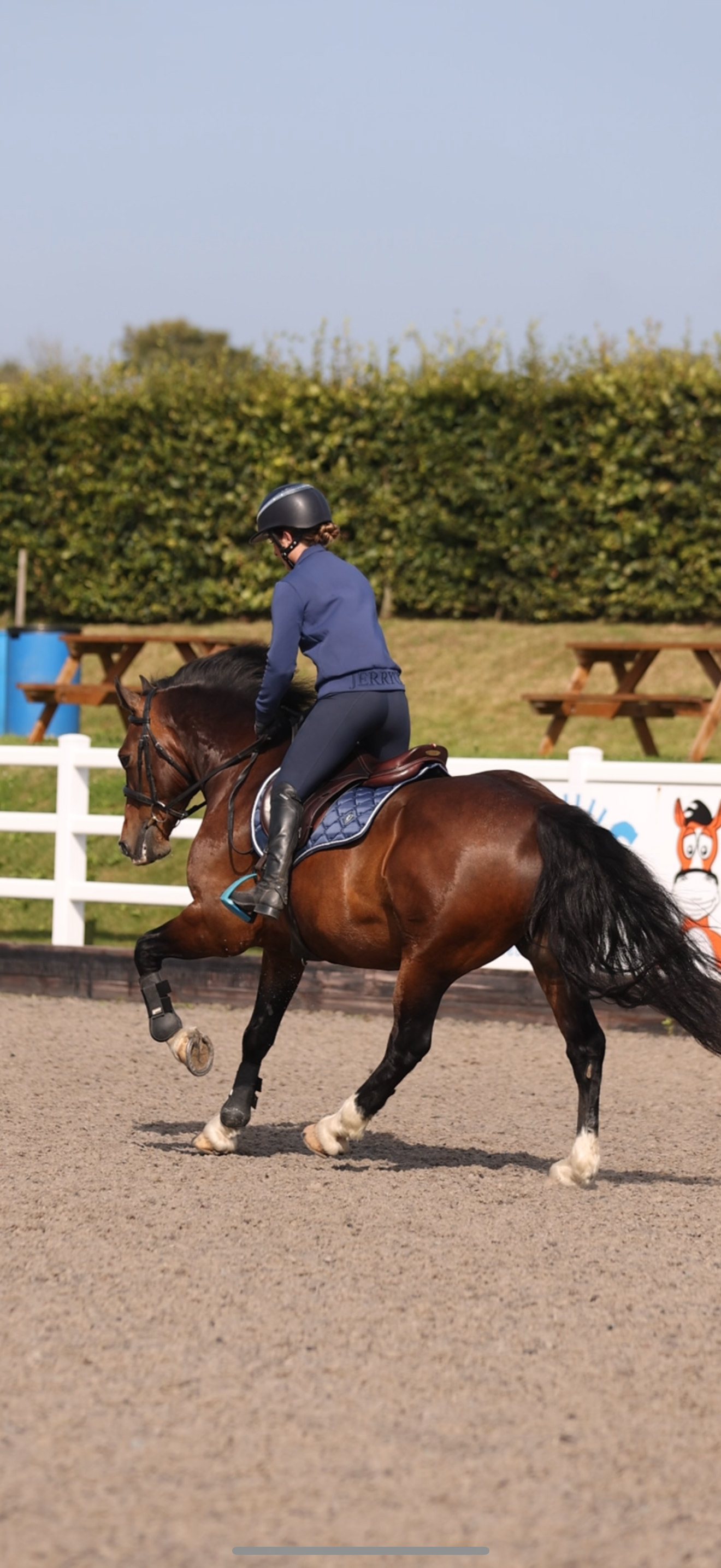 Sapphire Saddle Pad
