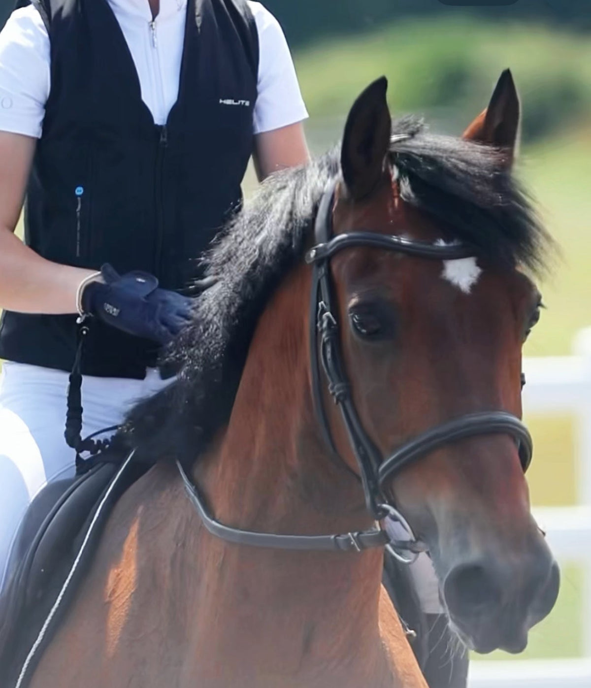 Jerryco Jerryco Clothing | Premium Equestrian Wear for Horse and Rider ...