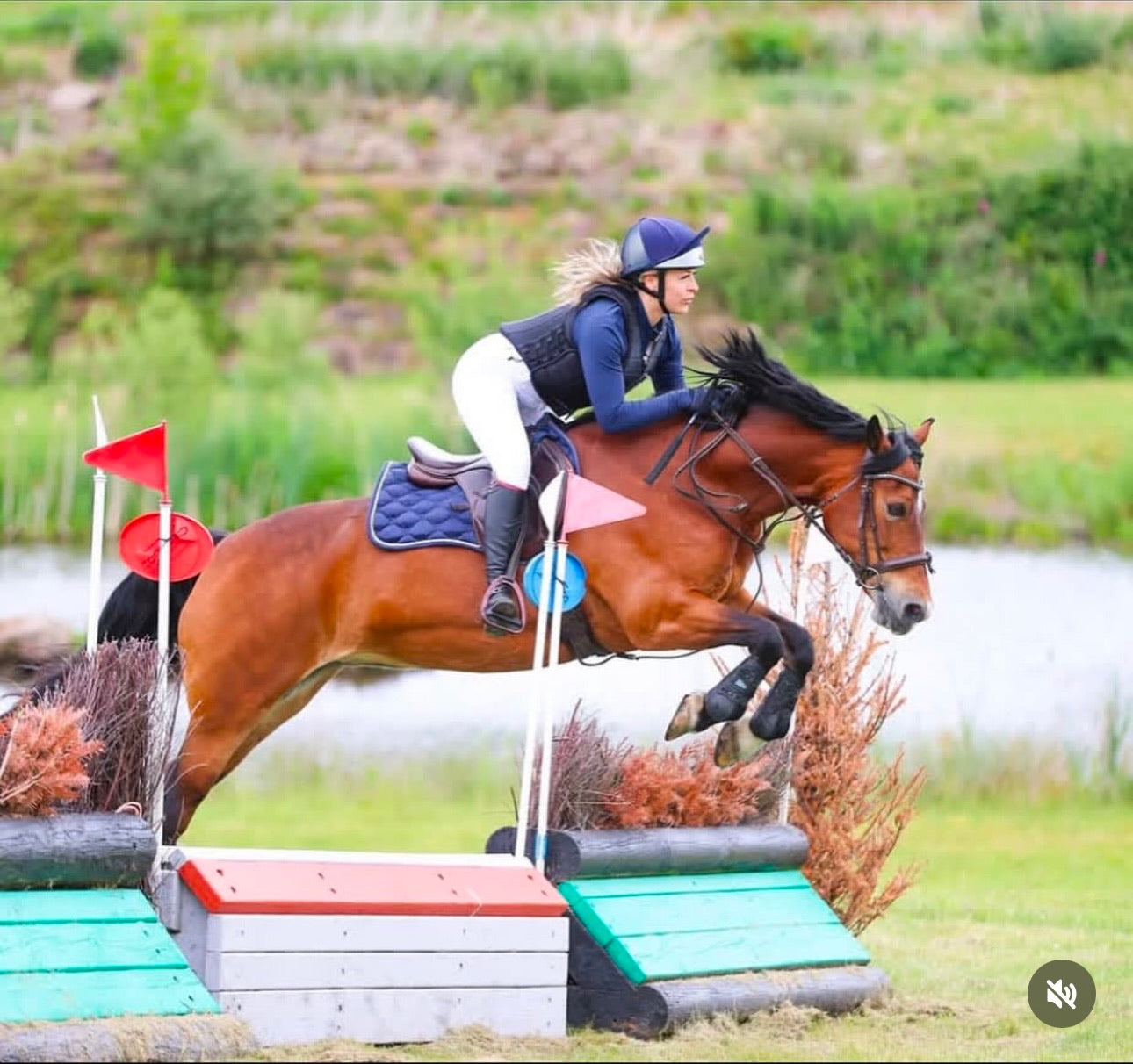 Jerryco Jerryco Clothing | Premium Equestrian Wear for Horse and Rider ...